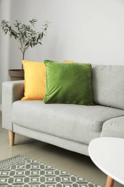 Rahat kanepesi olan modern bir oda.