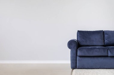 Oda duvarının yanındaki şık kanepe.