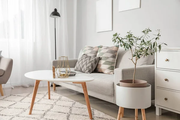 Intérieur Chambre Moderne Avec Canapé Confortable — Photo