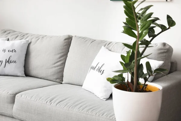 Canapé Confortable Dans Une Chambre Moderne — Photo