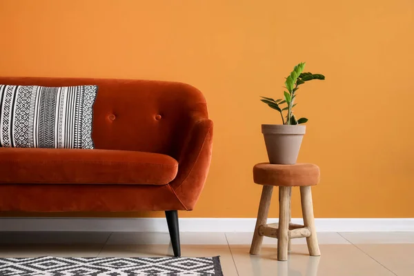 Stylowa Sofa Houseplant Pobliżu Ściany Kolor Pokoju — Zdjęcie stockowe