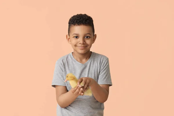 Kleiner Afroamerikanischer Junge Mit Niedlichem Entlein Auf Farbigem Hintergrund — Stockfoto