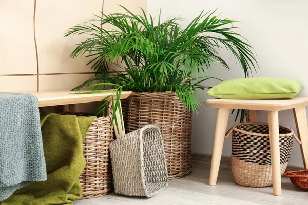 Bench Wicker Baskets Houseplant Room — Stock Photo, Image