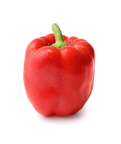 Pimiento Rojo Sobre Fondo Blanco —  Fotos de Stock