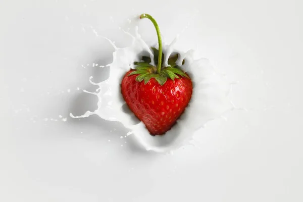 Κατανάλωση Νωπής Φράουλας Στο Γάλα — Φωτογραφία Αρχείου