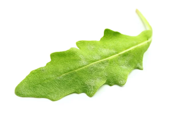 Arugula Fresco Sobre Fundo Branco — Fotografia de Stock