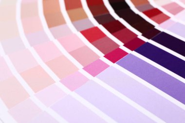 Arkaplan olarak renk paletleri, yakın plan