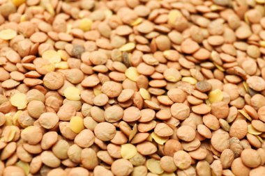 Arkaplan olarak çiğ mercimek, yakın plan