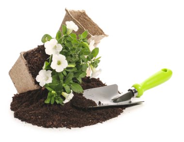 Beyaz arkaplanda toprak, bitki ve bahçe araçları