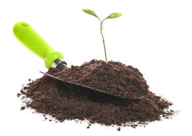 Beyaz arka planda toprak, bitki ve kürek