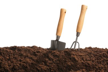 Beyaz arkaplanda toprak ve bahçe araçları