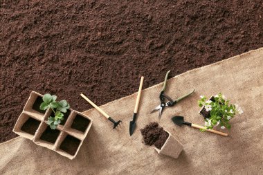 Toprakta bahçe aletleri seti