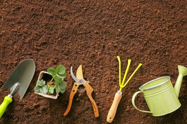 Toprakta bahçe aletleri seti