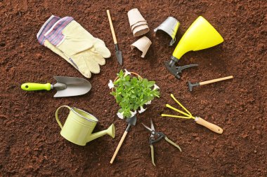 Set of gardening tools on soil clipart