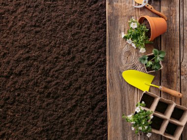 Toprakta bahçe aletleri seti