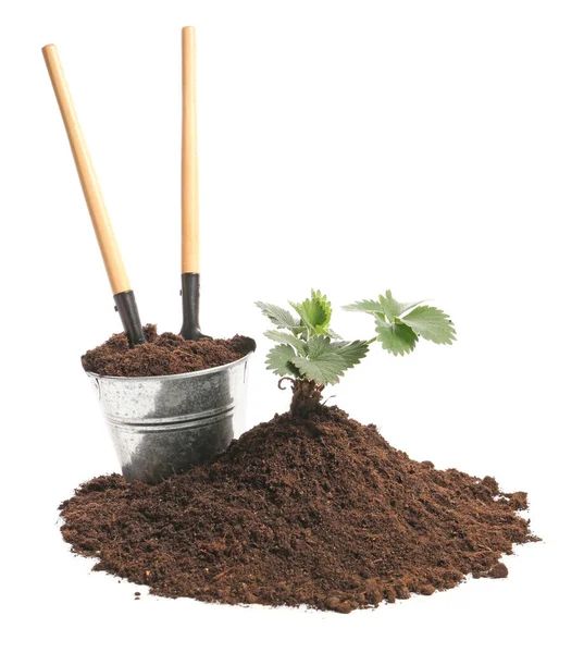 Soil Plant Gardening Tools White Background — Stock Photo, Image