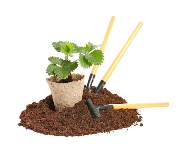 Soil Plant Gardening Tools White Background — Stock Photo, Image