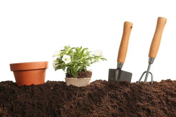 Soil Gardening Tools White Background — Stock Photo, Image