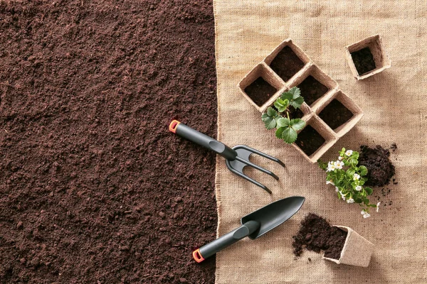 Set Gardening Tools Soil — Stock Photo, Image