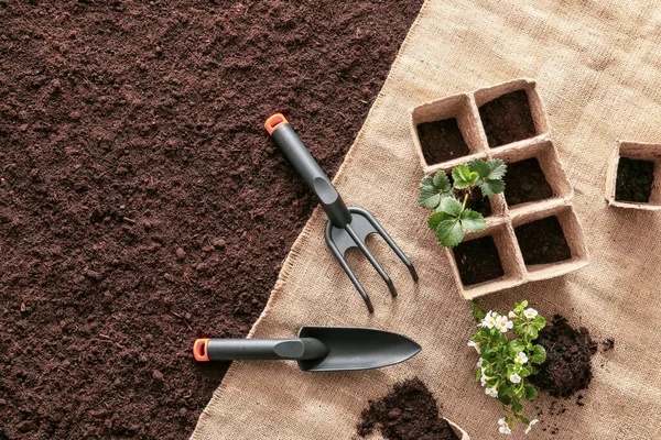 Set Gardening Tools Soil — Stock Photo, Image