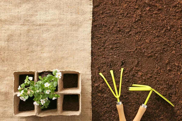 Set Gardening Tools Soil — Stock Photo, Image