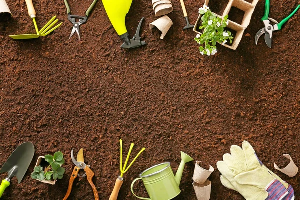 Conjunto Ferramentas Jardinagem Solo — Fotografia de Stock