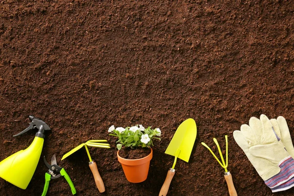 Conjunto Ferramentas Jardinagem Solo — Fotografia de Stock