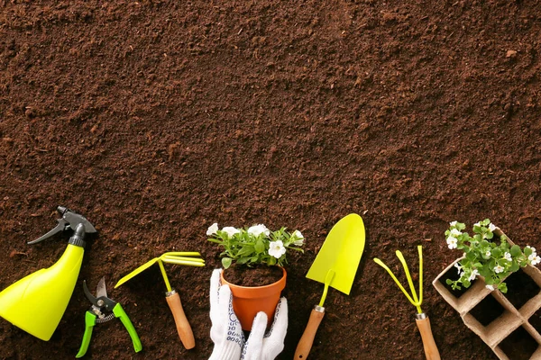 Set Gardening Tools Soil — Stock Photo, Image