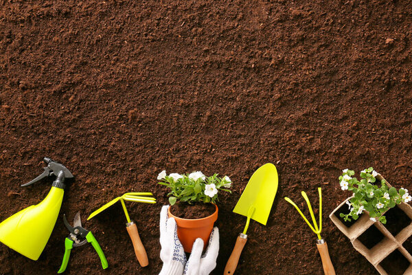 Set of gardening tools on soil