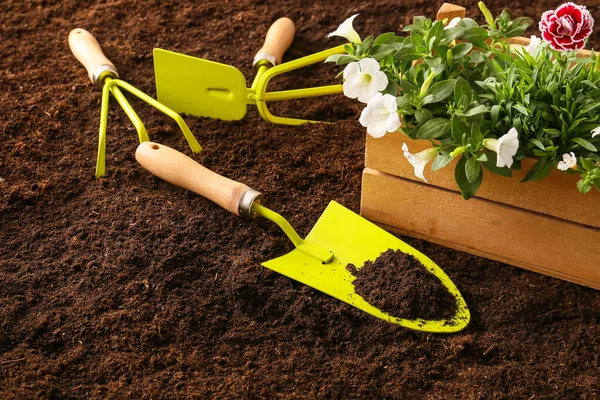 Set Gardening Tools Soil — Stock Photo, Image