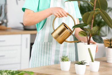 Çiçekleri sulayan genç bir kadın, yakın plan.