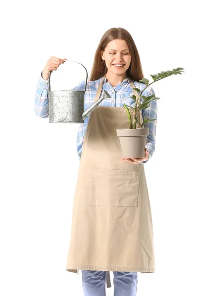 Young Woman Watering Can Houseplant White Background — Stock Photo, Image