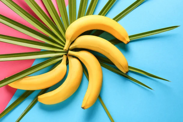 Ripe Bananas Tropical Leaf Color Background — Stock Photo, Image