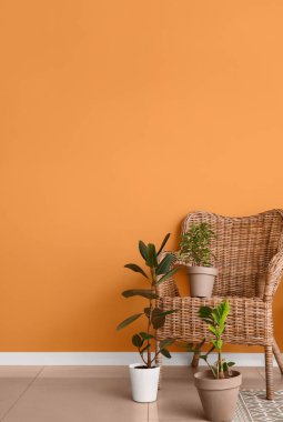 Koltuklu modern odanın içi.