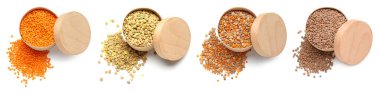 Beyaz arkaplanda farklı çiğ mercimek kutuları