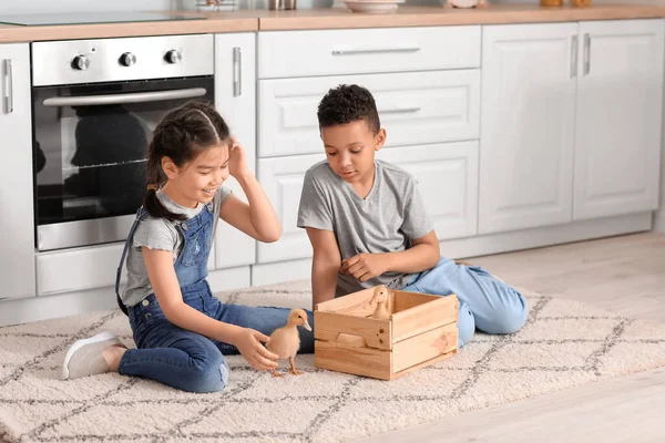 Little Children Cute Ducklings Home — Stock Photo, Image