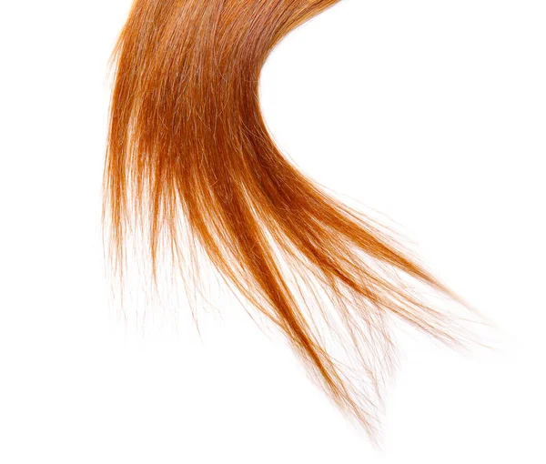 Красивые Рыжие Волосы Белом Фоне — стоковое фото
