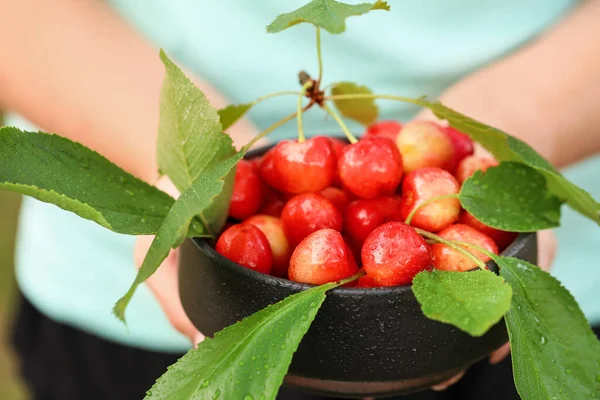 Woman Bowl Sweet Cherry Garden Closeup — Stock Photo, Image