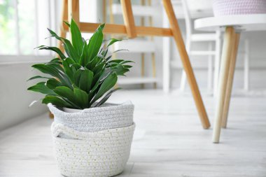 Odasında çiçek olan sepetler.