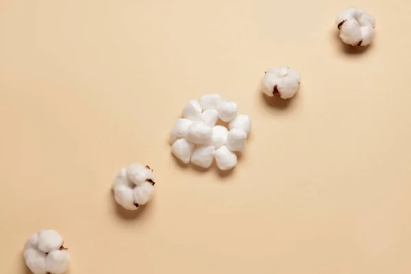 Cotton Balls Flowers Color Background — Stock Photo, Image