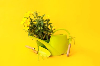 Renk arkaplanındaki bahçe araçları