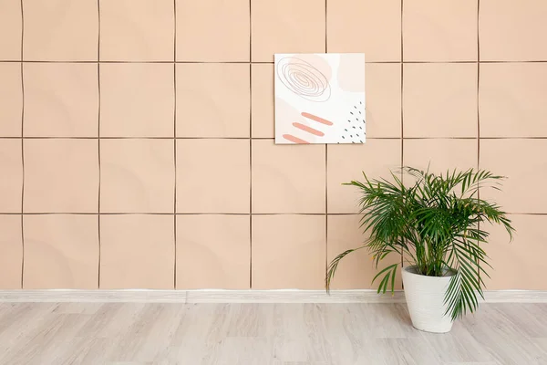 Houseplant Interior Empty Spacious Room — Stock Photo, Image