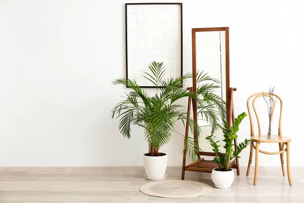 Grand Miroir Chaise Avec Plantes Intérieur Dans Chambre — Photo