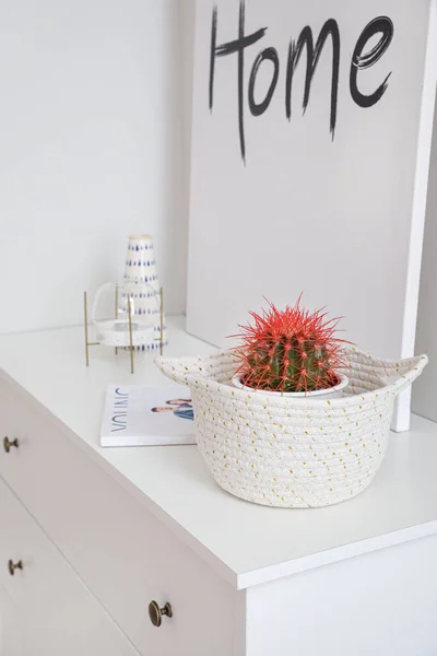 Chest Drawers Wicker Basket Houseplant Room — Stock Photo, Image