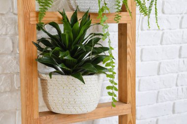 Beyaz tuğla duvarın yanında ev bitkisi olan merdiven