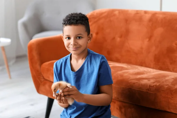 Pequeño Chico Afroamericano Con Patito Lindo Casa — Foto de Stock