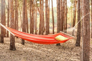 Yaz günü ormanda hamak