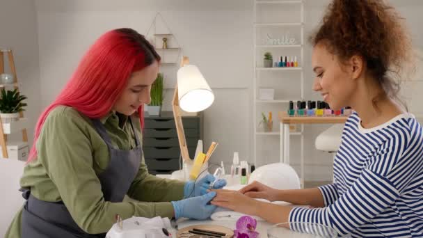 Maestro Manicura Trabajando Con Cliente Femenino Salón Belleza — Vídeos de Stock