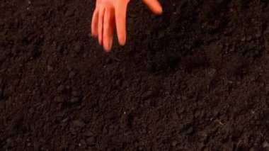 Bilim adamı açık havada zengin toprağı test ediyor.