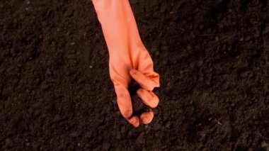 Bilim adamı açık havada zengin toprağı test ediyor.